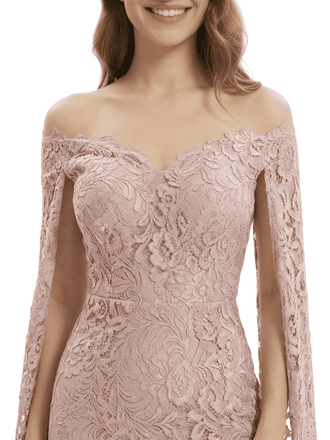 Elegant Lace Long Sleeves Mother of the Groom Dresses Mermaid Evening Gown