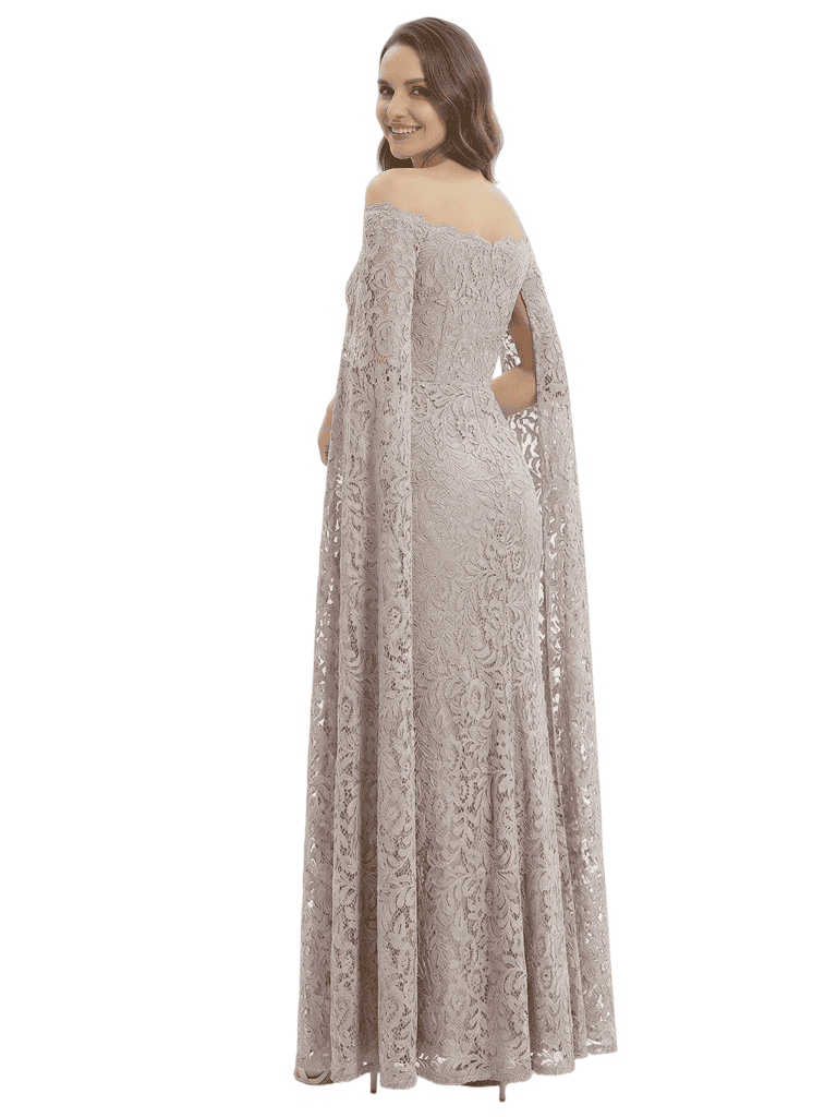 Elegant Lace Long Sleeves Mother of the Groom Dresses Mermaid Evening Gown