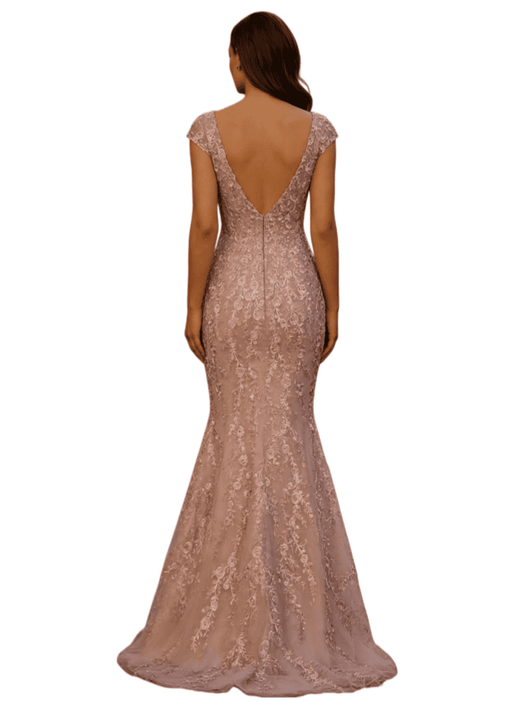 Elegant V-Neck Cap Sleeves Lace And Tulle Mermaid Long Mother of The Bride Dresses